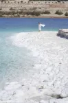 Movenpick Dead Sea Jordan - 5-Star