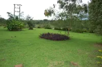 Konkon Wonderland
