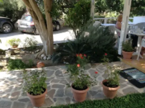 Studios Stella Hotels in Myrthianos Plakias