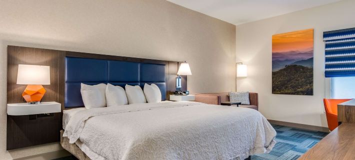 Hampton Inn Johnson City Hotels in Johnson City