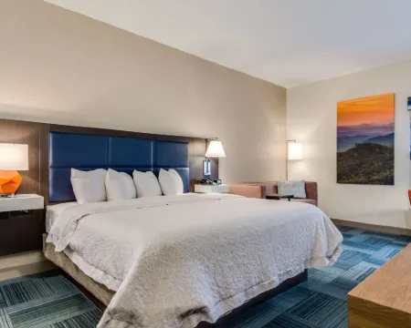 希爾頓歡朋酒店-約翰遜城 約翰遜城酒店