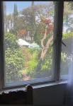 Hotel Posada Quinta Las Flores - วิว