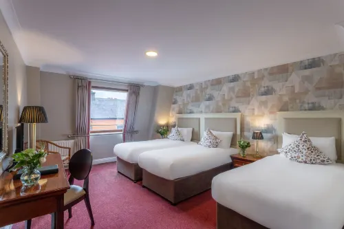 Dooley's Hotel Hôtels à : Waterford