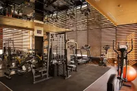 Radisson Lucknow City Center - Gym
