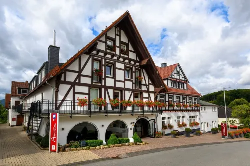 Hotel Antoniushütte - Kæledyr tilladt