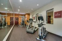 Comfort Suites Old Town Spring - Gym
