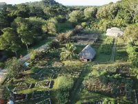 Copal Tree Lodge a Muy'Ono Resort Hotel di Jacinto Ville