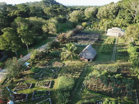 Copal Tree Lodge a Muy'Ono Resort Отели в г. Пунта-Горда