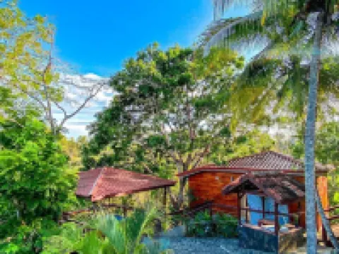 Hotel Nature Lodge Finca Los Caballos Hotels in Montezuma