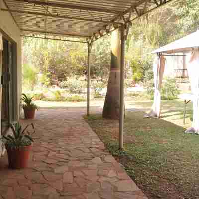 Coghlan Villa Guest House Hotel Exterior