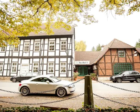 Hotel Alter Wolf Hotels in Wolfsburg