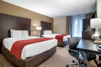 Comfort Inn - Gym