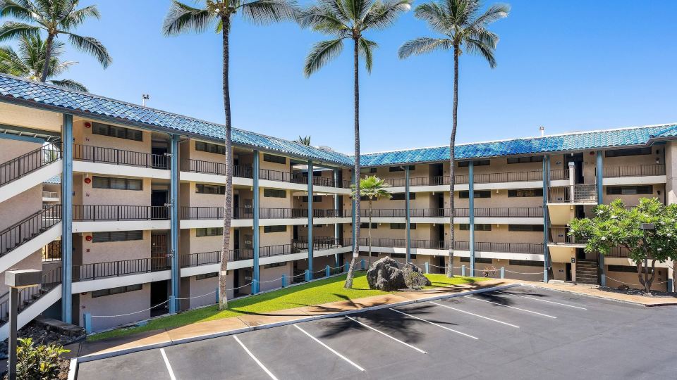 Kona Reef D32
