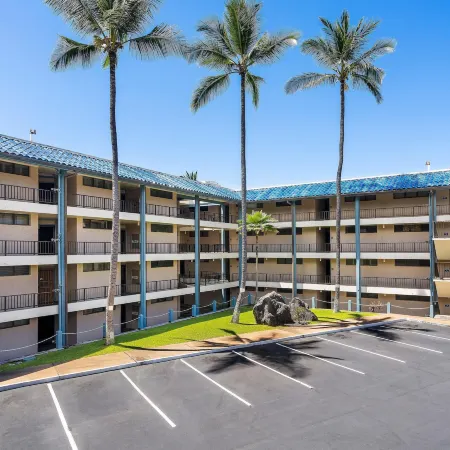 Kona Reef D32