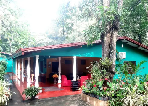 Palitha Homestay Экстерьер Photos
