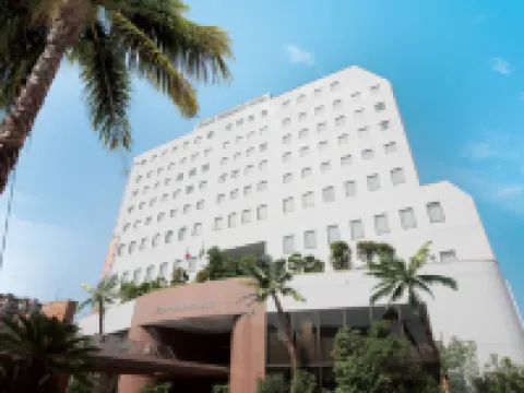 野上總統酒店 飯冢市酒店