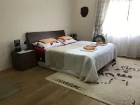 펜지온 포호다 - 홈스테이