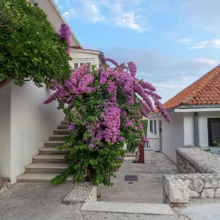 Guest House Marija in Perfect Location Отели рядом с достопримечательностью «Пляж Бене»