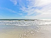 Toes in the Sand - bar