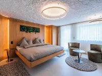 Boutique Hotel la Gorge Ξενοδοχεία στην πόλη Saas Fee