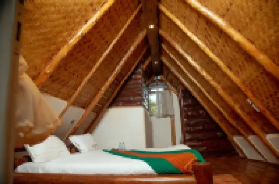 Nyungu Yamawe Forest Park Hotels in Kyadondo