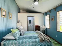 Hotel Del Rio Hotels in 