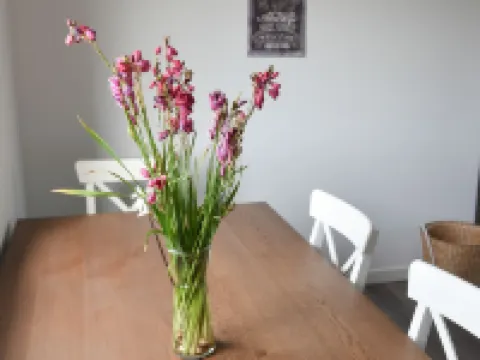 カサス ド ピニェイロ オルタのホテル