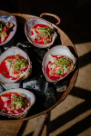 Paradero Todos Santos - Exclusive Experiences Included