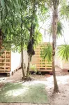 Nahimara Champeta Hostel