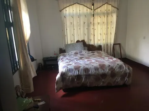 弗洛拉家庭寄宿