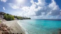 Coral Estate Luxury Resort - Beach