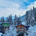 Hotel Shgedi Mestia Hotels in 
