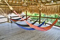 Hotel Hacienda la Bonita Hotels in Fredonia