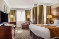 Comfort Inn & Suites Durango