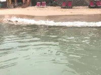 Store Bay Suite at Goodheart's Comfort Inn