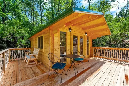 PRIVATE Tiny Cabin+90 acres of hiking+baby goats