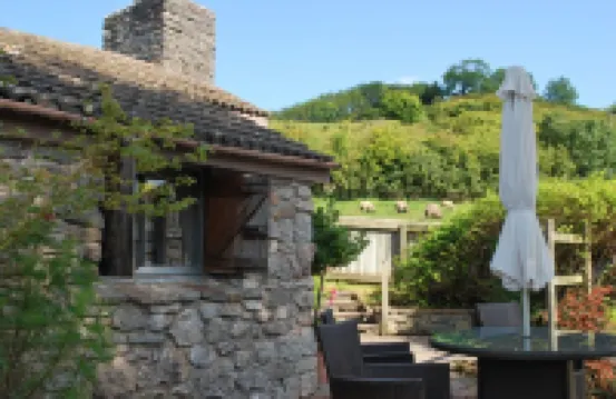 Escape to a lovely vineyard cottage near the Somerset Levels