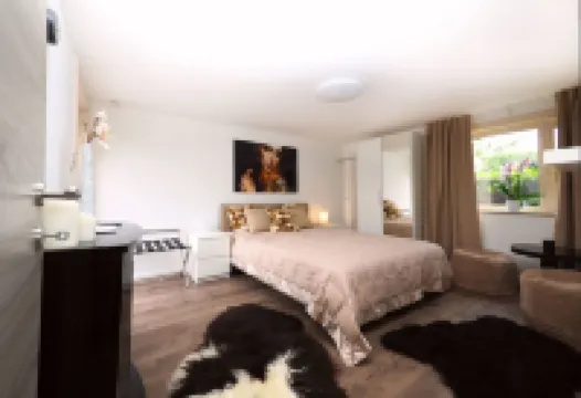 Comfortable apartment, close to downtown and train station