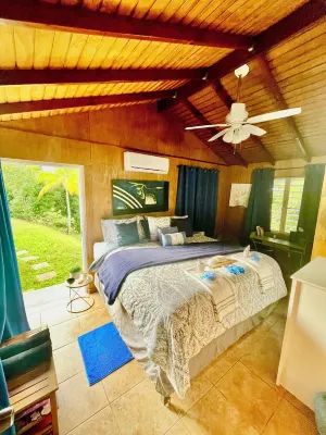 VACATION HOMEIN THE RAINFOREST, CLOSE TO THE RIVER & BEACHES WITH AMAZING VIEWS