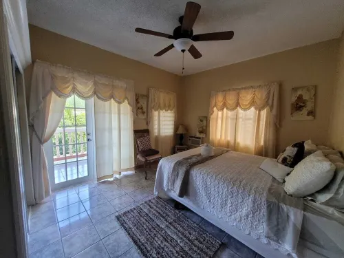 Eagles Nest Near the Beach