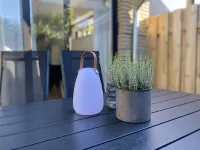 Freshly renovated and quiet vacation apartment on the ground floor in Burhave