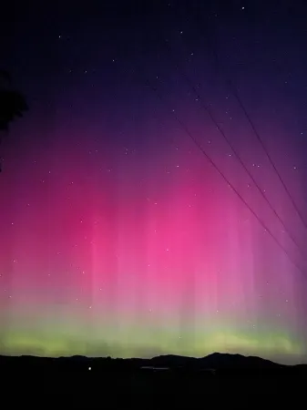 Butterfly Cottage Martinborough Отели в г. Мартинборо