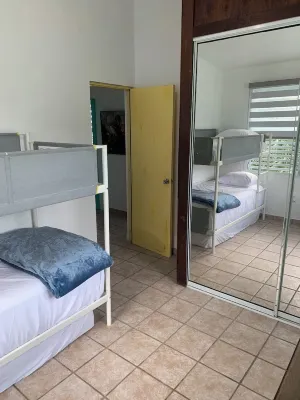 3 Bedroom • Relaxing Ocean & Rainforest Sunrise Vista