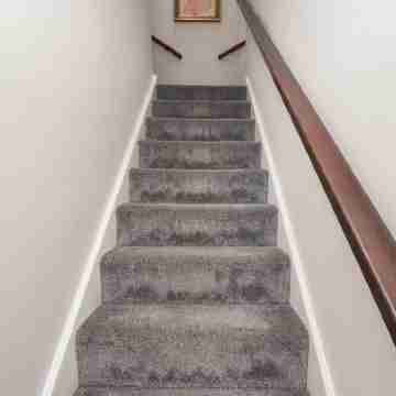 White Feathers Others