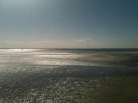 Logis Hotels - Hôtel et Restaurant l'Océana Hotels in Lanton