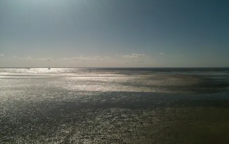 Logis Hotels - Hôtel et Restaurant l'Océana