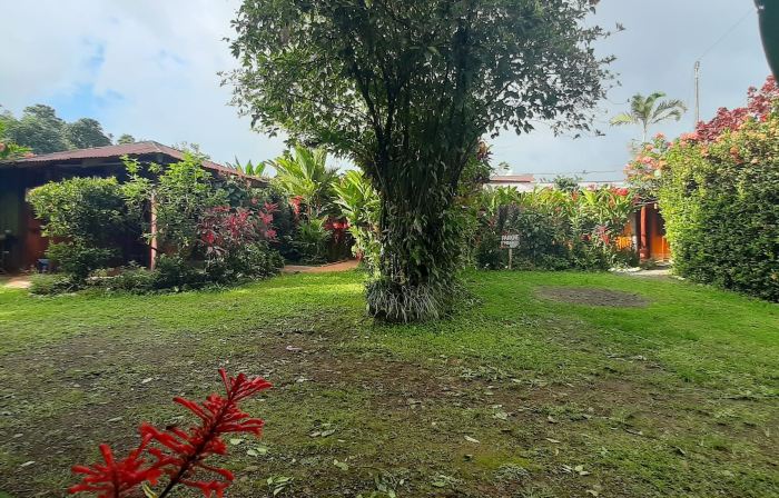 Jardin entre Montañas