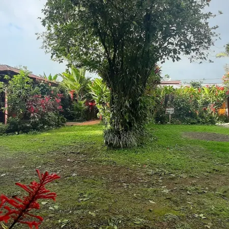 Jardin entre Montañas
