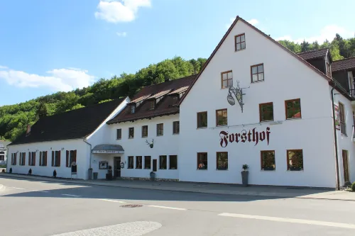 Hotel & Landgasthof Forsthof Hotels in Illschwang