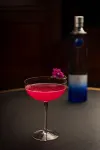 The Greenwood Resort, Guwahati - bar